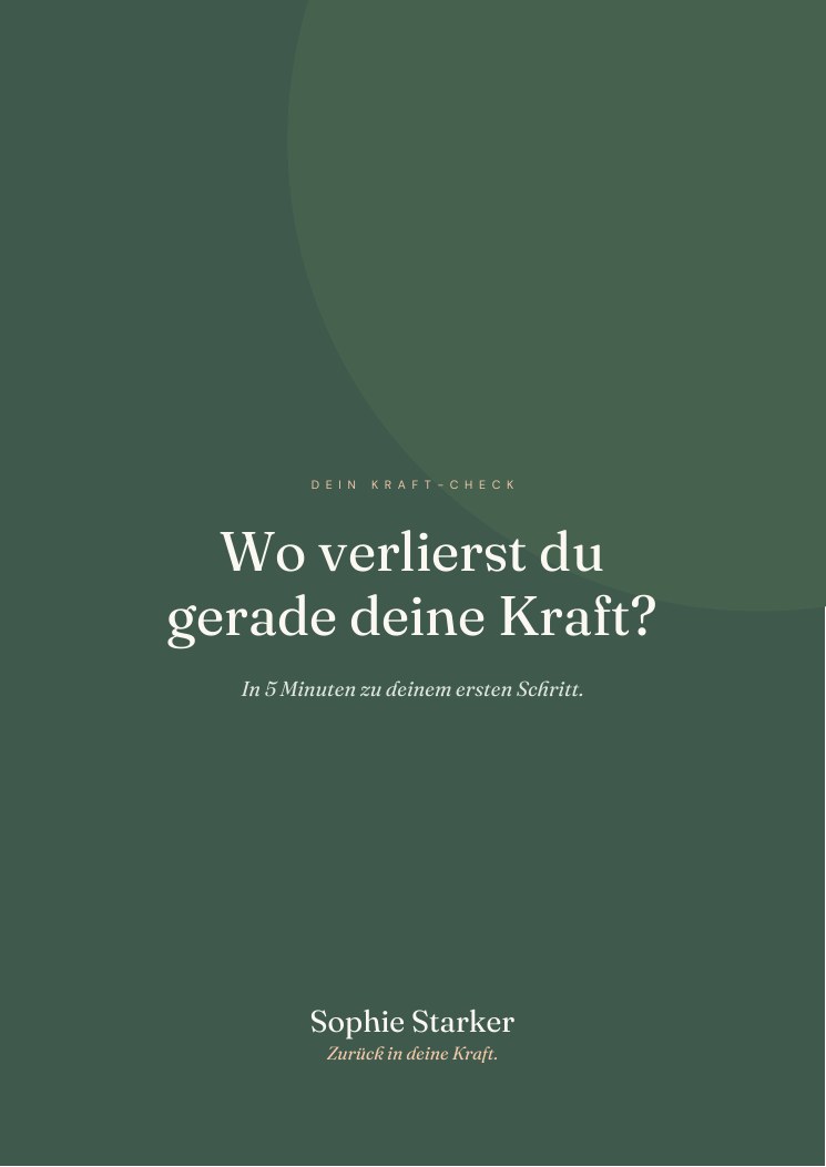 Titelseite des Kraft-Checks: Wo verlierst du gerade deine Kraft?